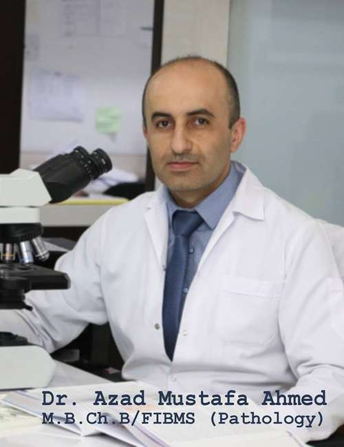 
                            Dr. Azad Mustafa Ahmed   
                        