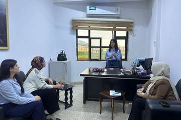التكافؤ الترجمي