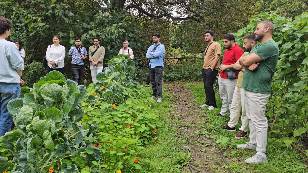 UoD Department of City Planning Advances International Partnership with TU Berlin through Summer School Workshop