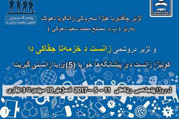 Scientific Fair