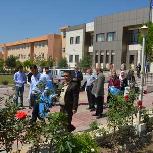 
                                World Environment Day
                            
