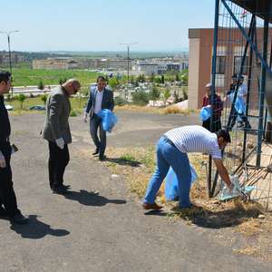 
                                World Environment Day
                            
