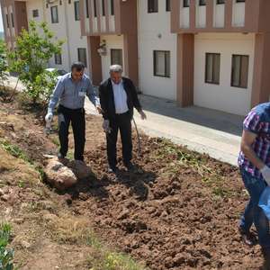 
                                World Environment Day
                            