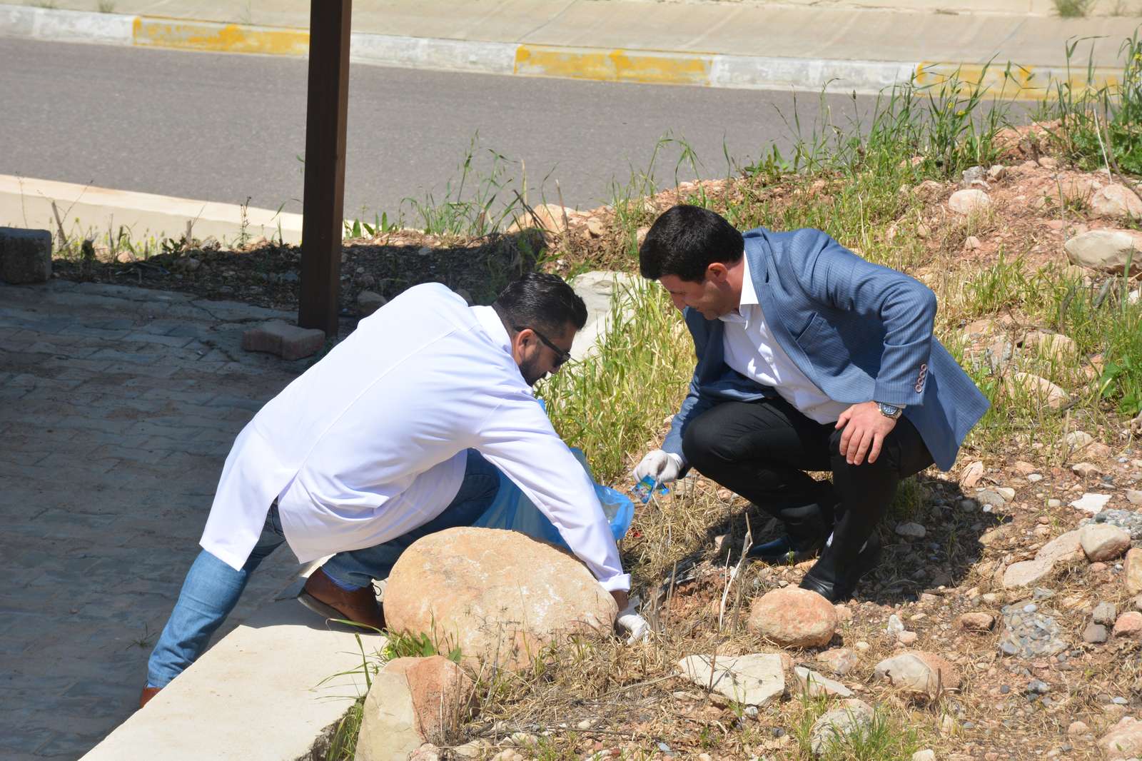 
                                World Environment Day
                            