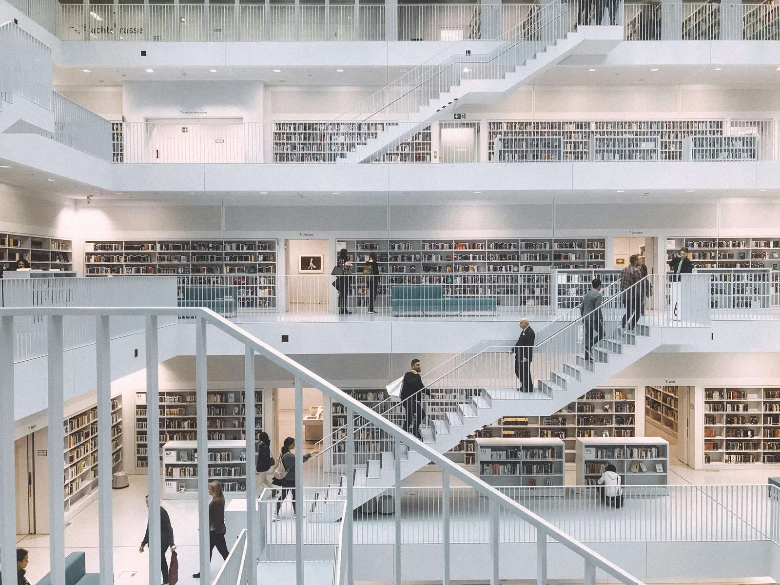 
                                Library
                            