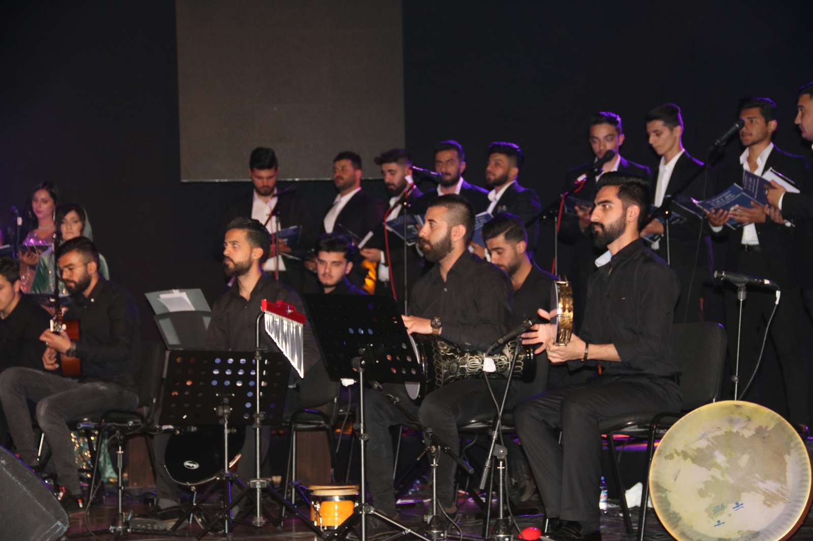 
										Annual Festival of fine&arts institute - Duhok 2019
									