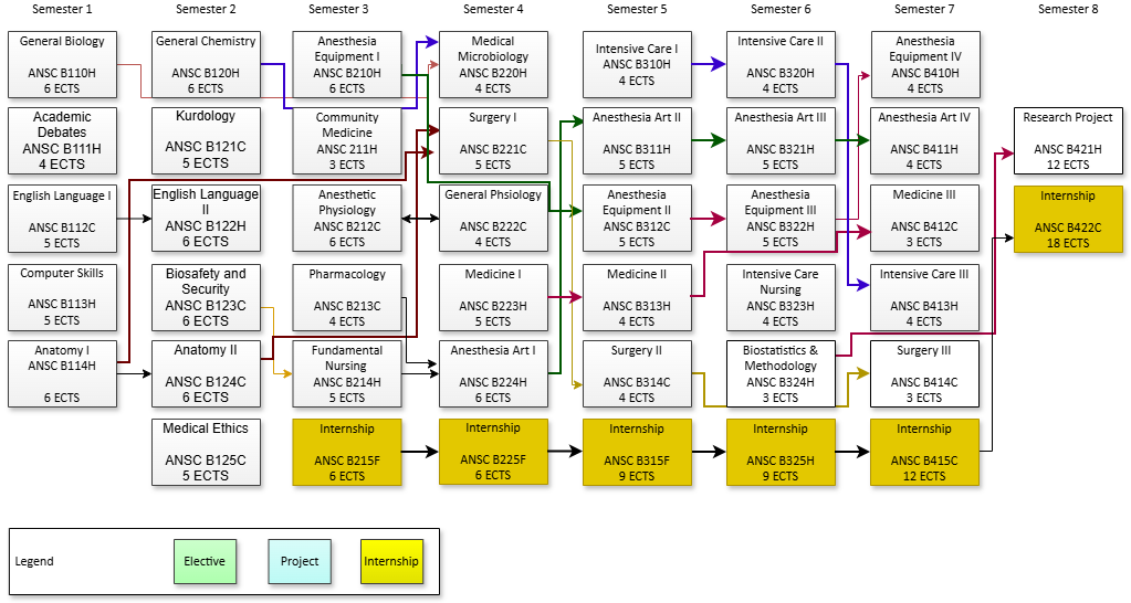 Programme structure diagram with credits Anes
