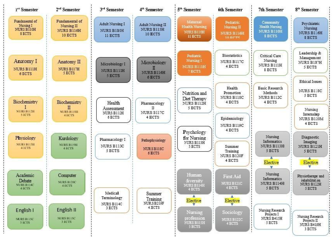 Programme structure diagram with credits Nur