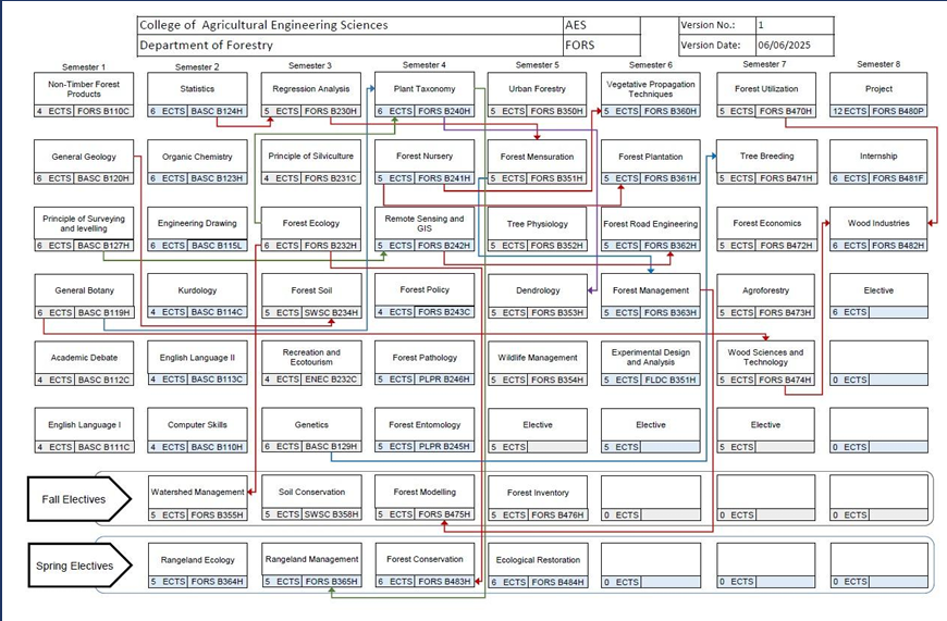 Programme structure diagram with credits forest