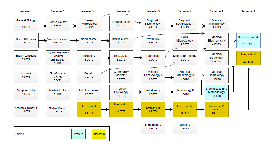 Programme structure diagram with credits med
