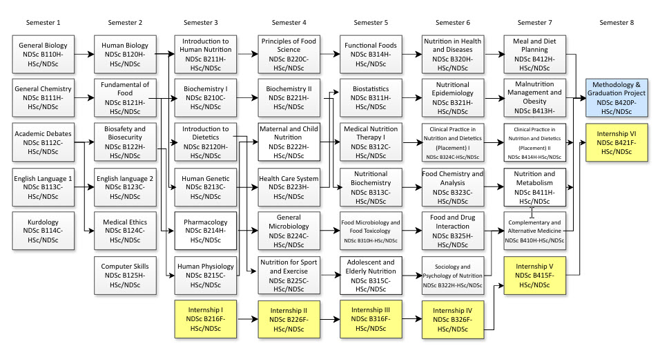 Programme structure diagram with credits net