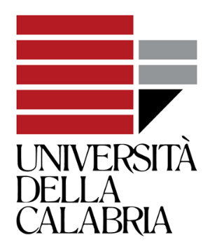 
                                UNIVERSITA DELLA CALABRIA
                            