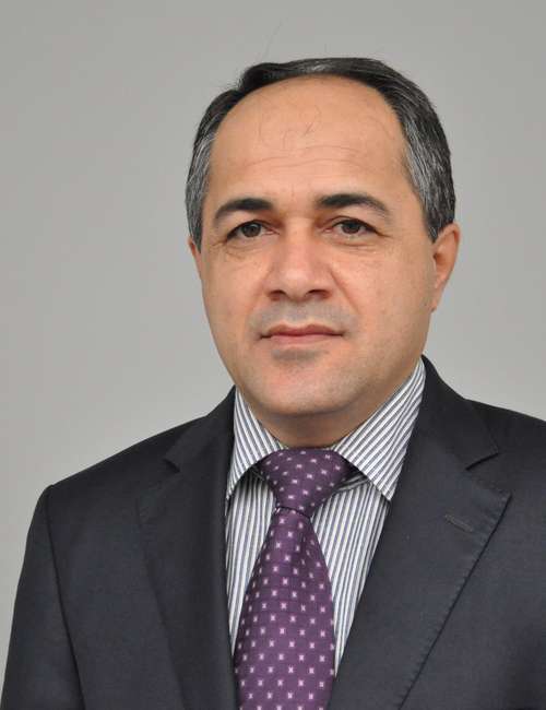 
                            Dr. Ahmed Mohammed Salih   
                        