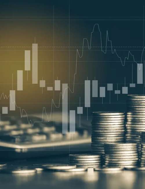 
                            Financial and Banking Sciences   
                        